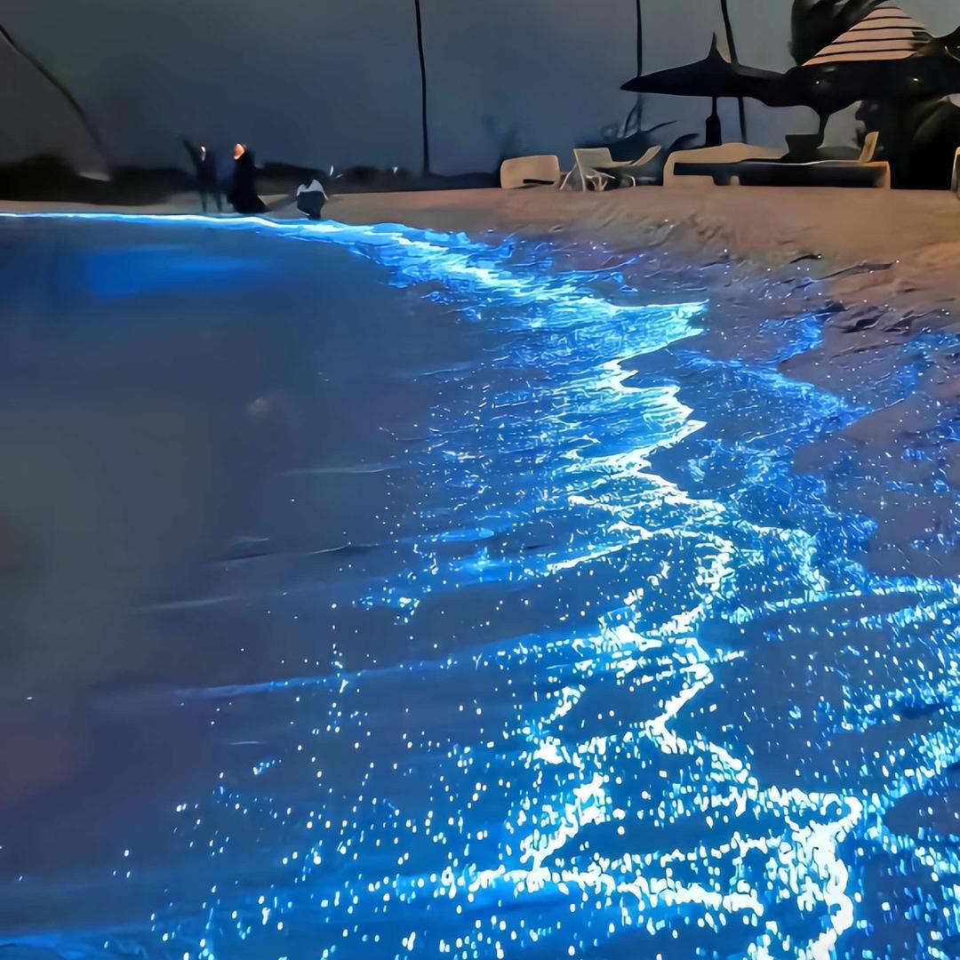 长夜烬头（三角洲）