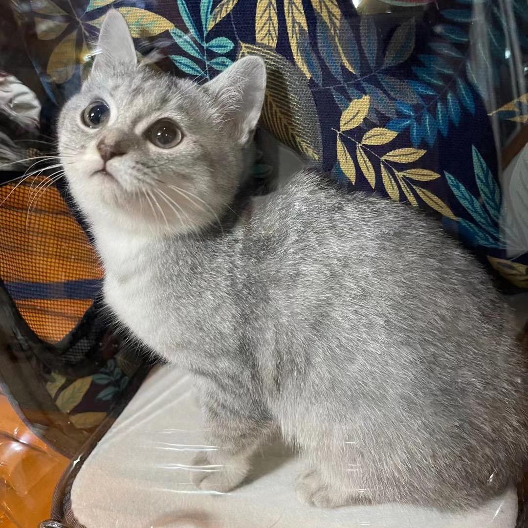 笔记本 电脑主机 DIY（小龙）