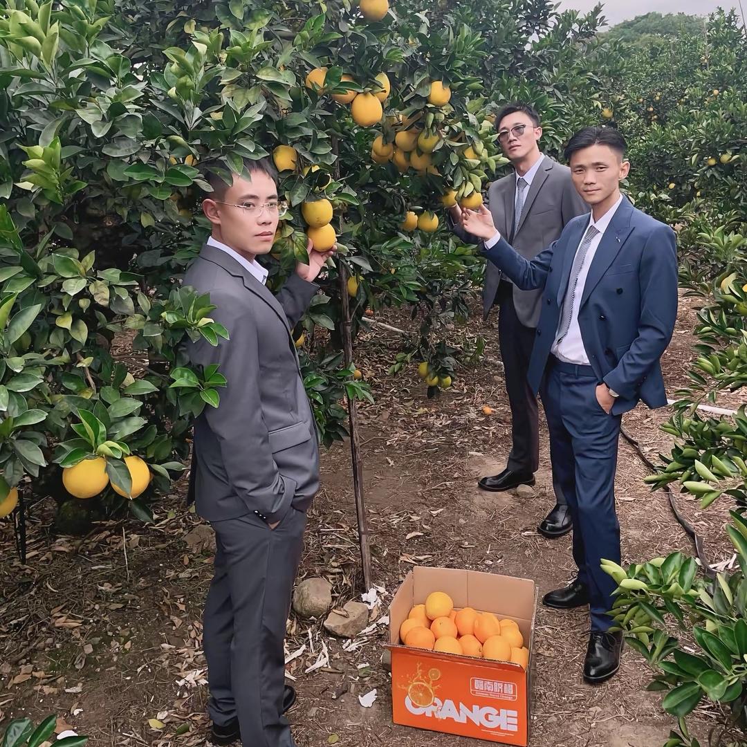 赣南老板果业