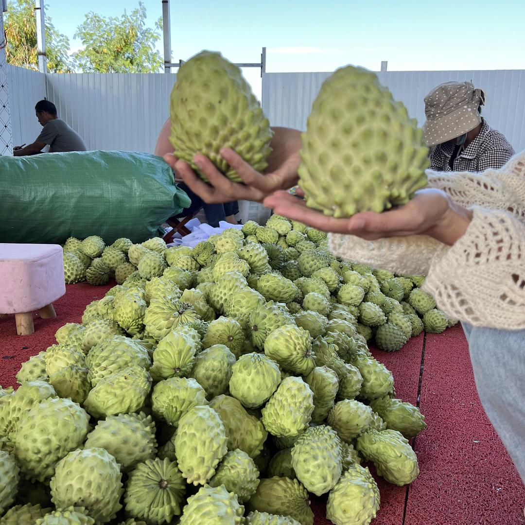 可家水果优品店