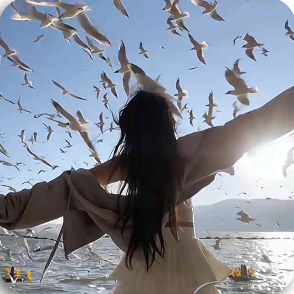 ღ空心菜✰