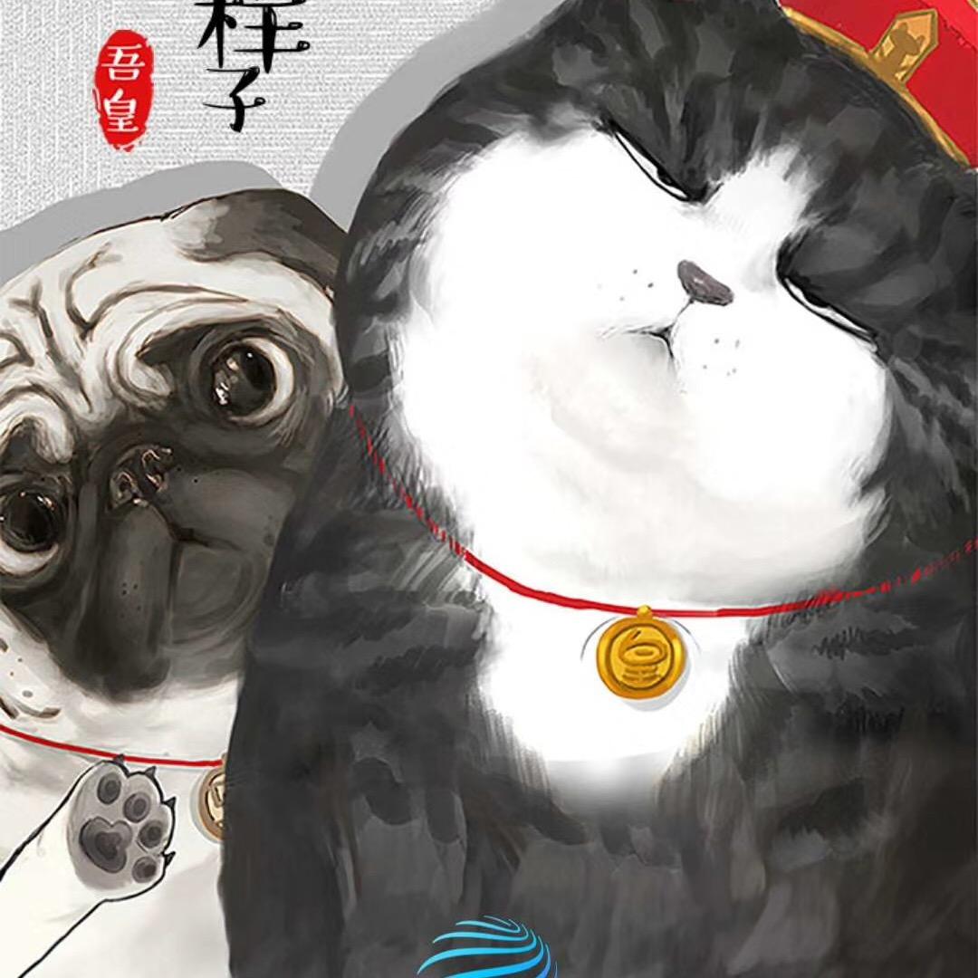 。。。。。。。