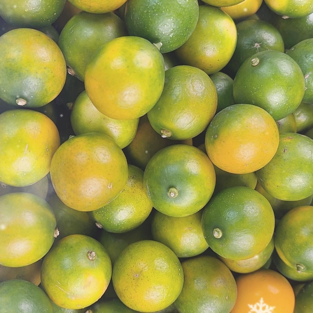 沈幼楚嘉通水果专卖店