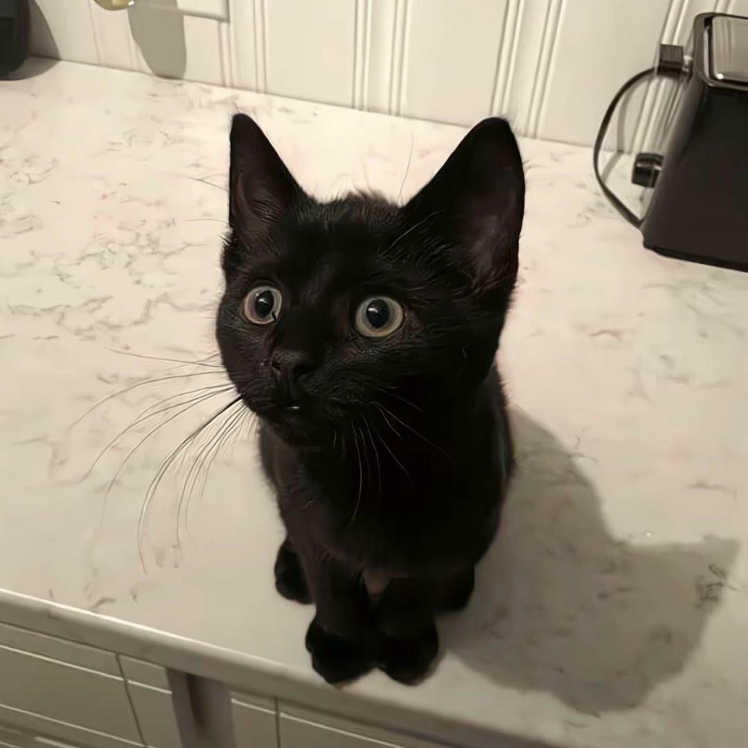 ㅤㅤㅤㅤㅤㅤㅤㅤㅤㅤᅠᅠ