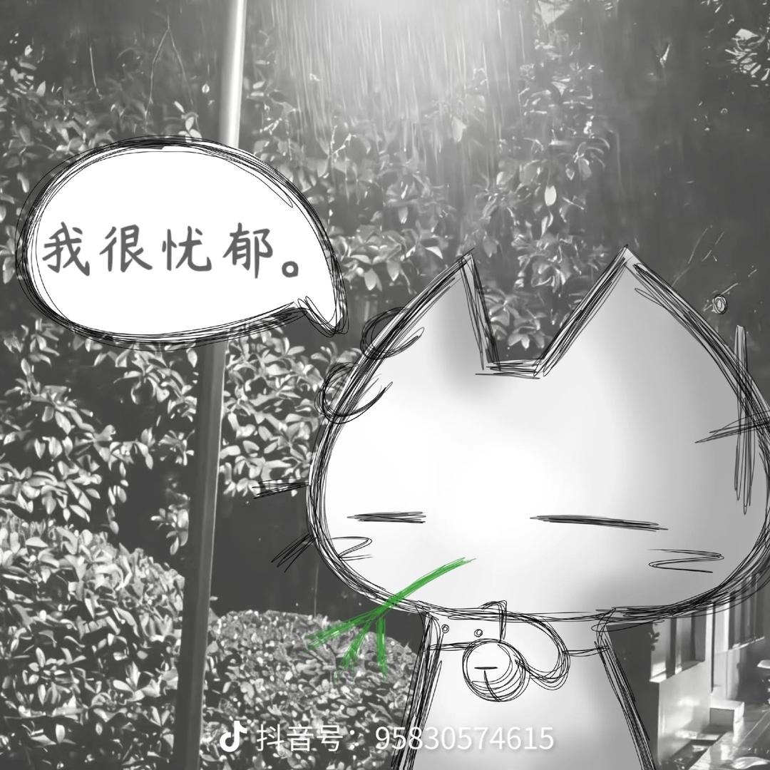 忧伤小猫头像