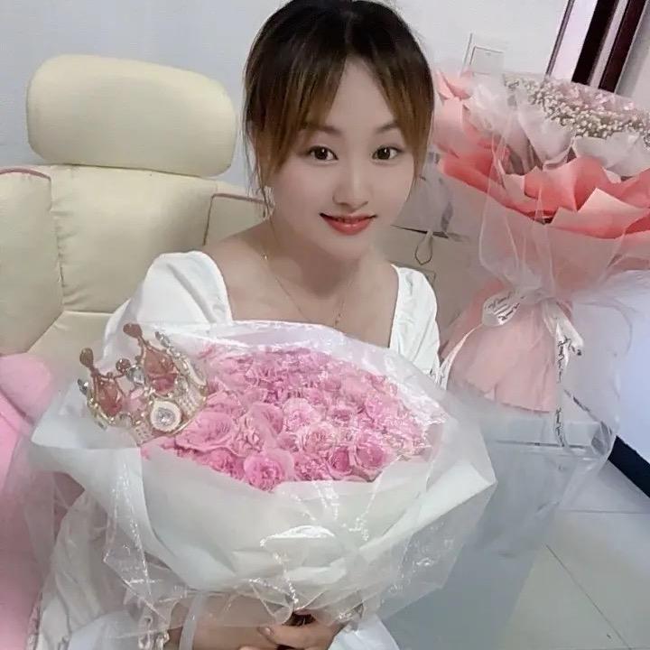 金燕子