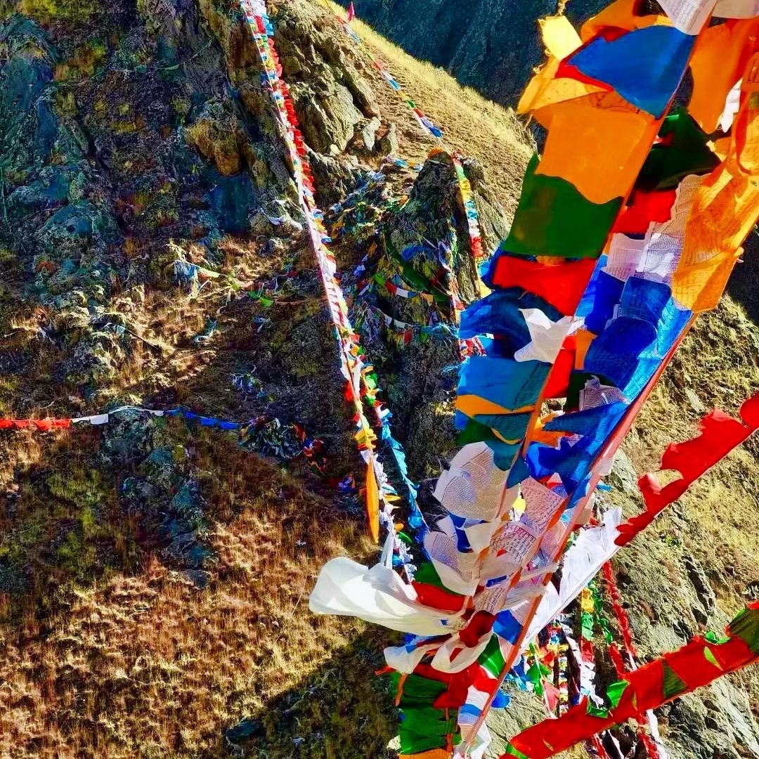 𝓓𝓿𝓸  𝓙𝓲𝓮.🏟️