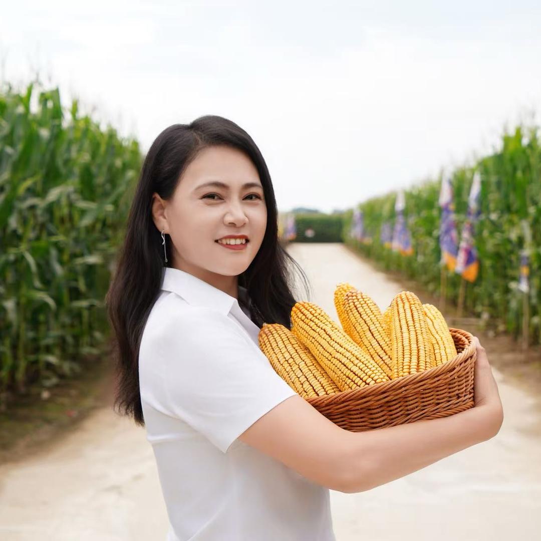 玉米满满（东亚种业厂家）