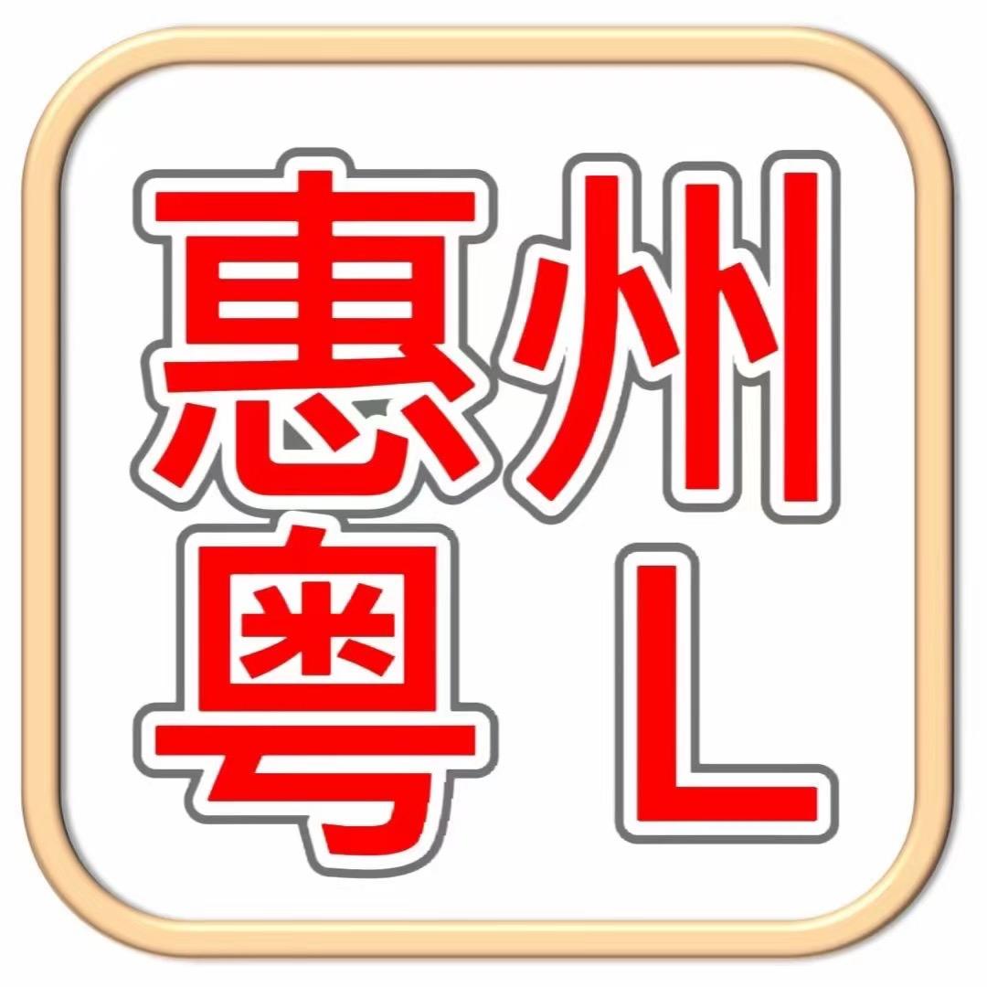 惠州河源张氏车服-上牌提档过户