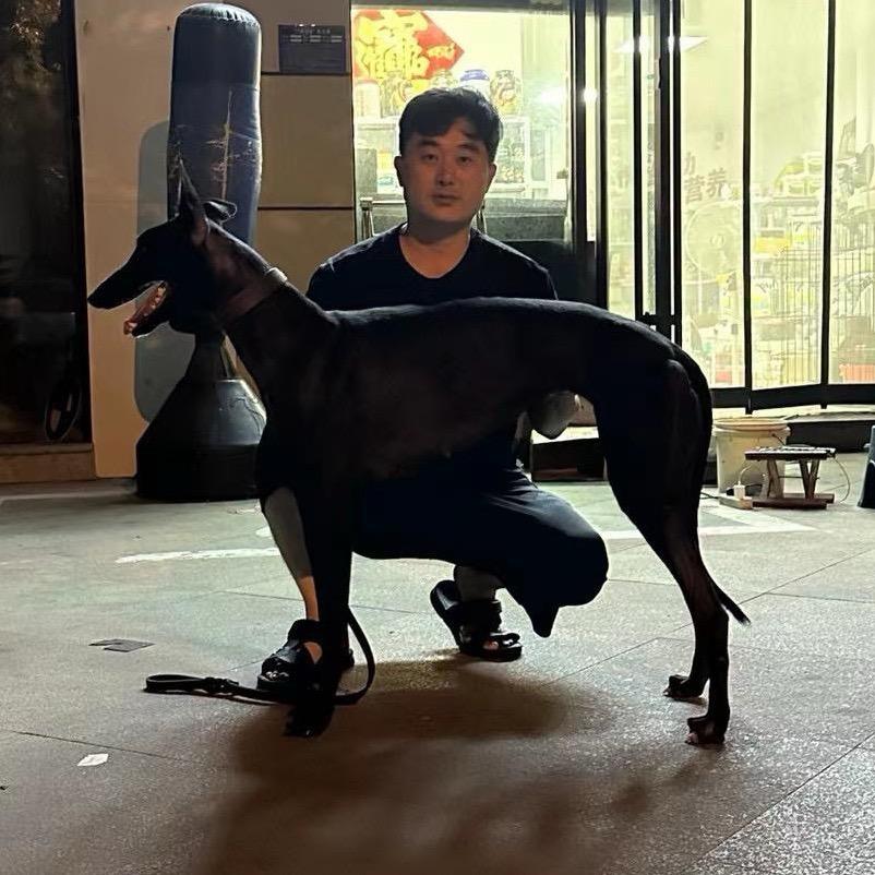 【邹城赛道】谭虎狗粮营养品