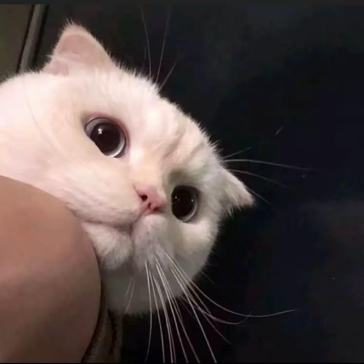 深情