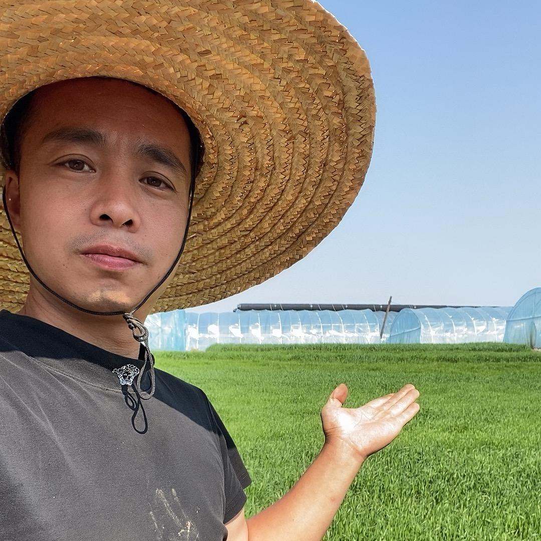 哦吼蚂蚱农场