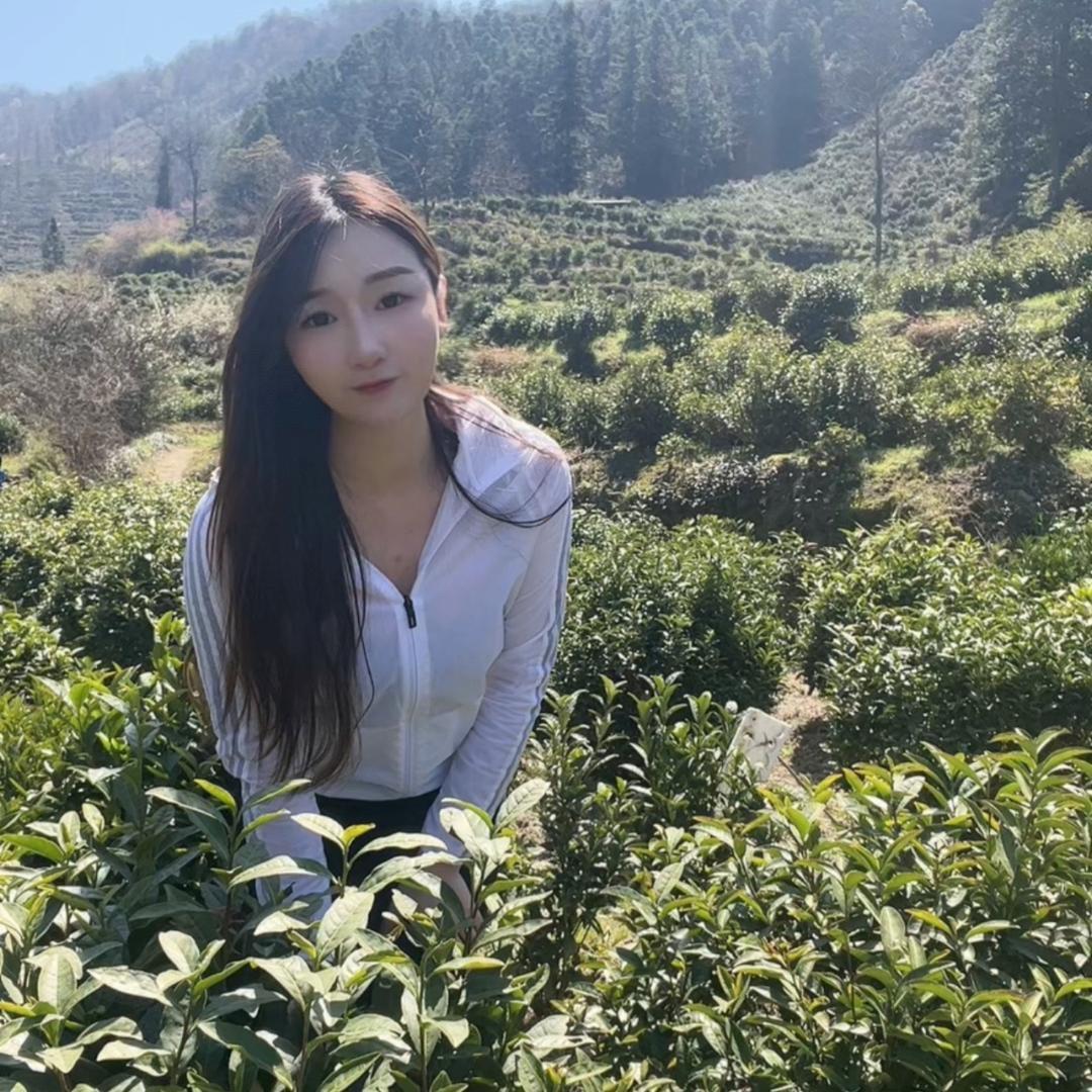 茶农小楚茶仙坊茶庄（桂花城西门口）