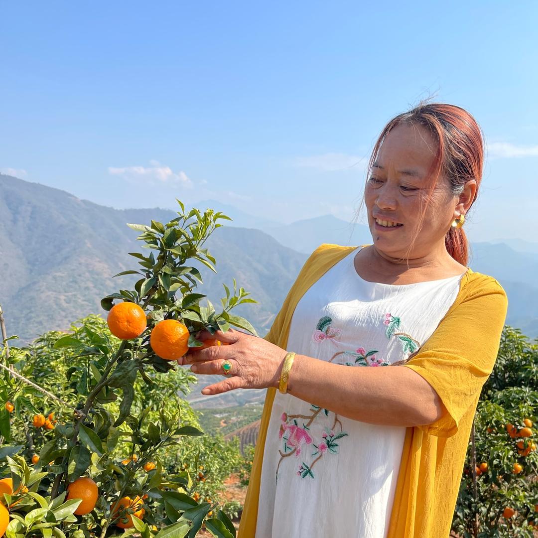 水果妹🍊（水果代办）