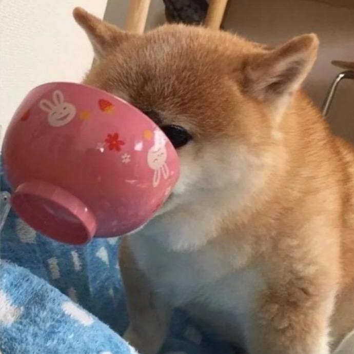海绵宝宝🌟