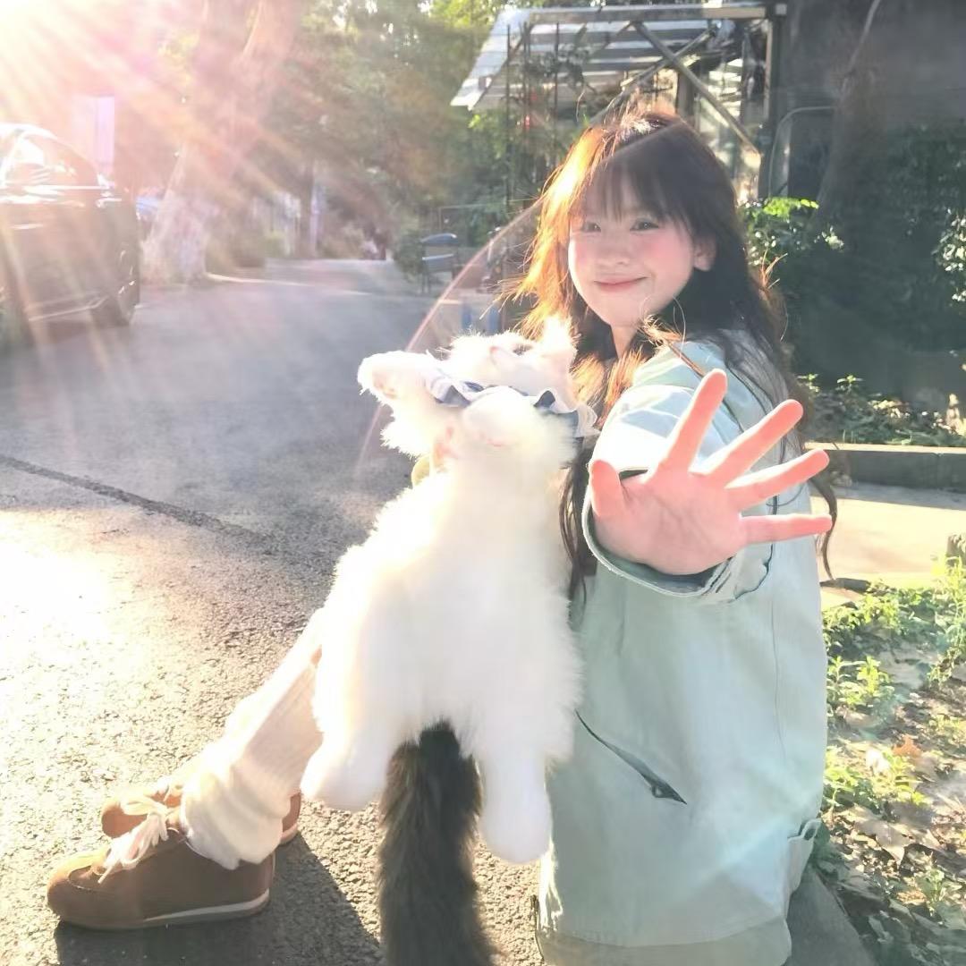 羊村你懒妹