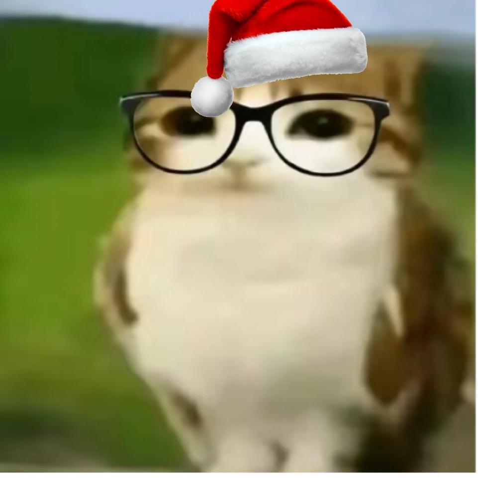 睡觉