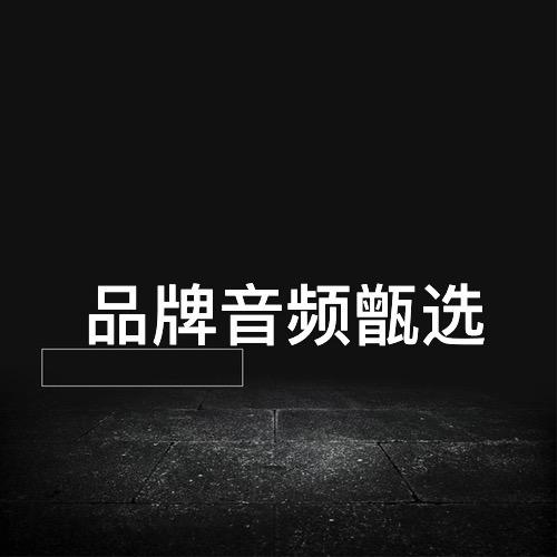 音频甄选