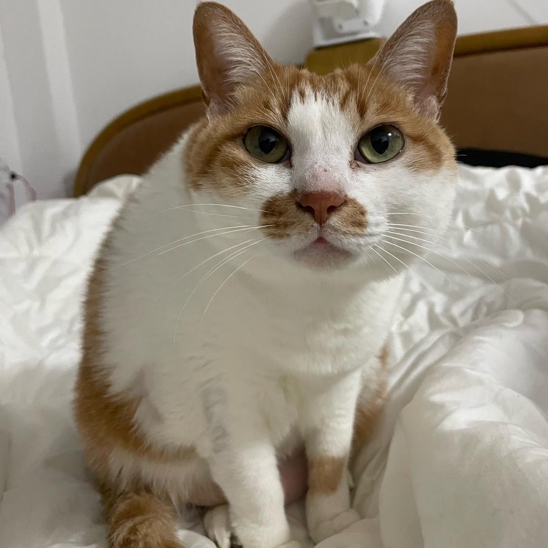 八方来财·肤白貌美·事事顺遂·健康·好眠