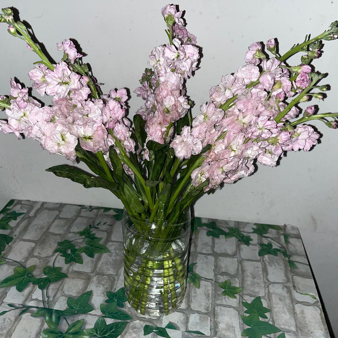 姷种遗憾叫做“硪們”