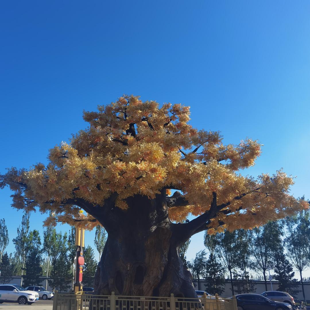 平凡🍂人生🪴