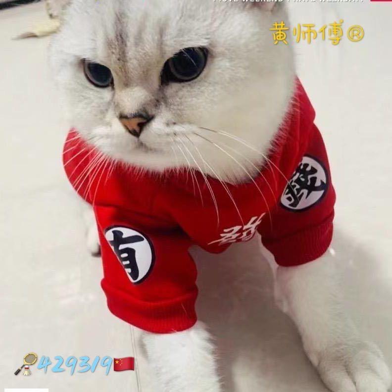 羽中漫步1829319A🏸️