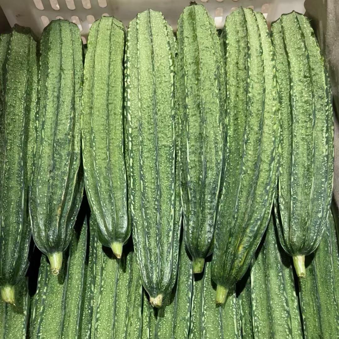 台城米豆蔬菜配送
