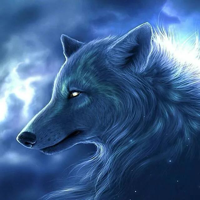 ❤️‍🔥狼❤️‍🔥🥷