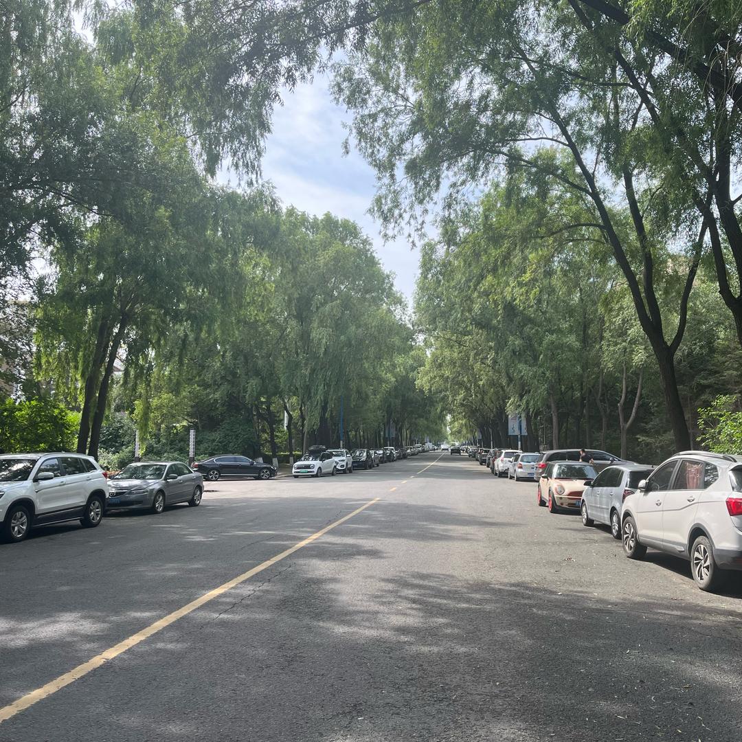 哈尔滨绿地铭寓酒店（东北虎林园店）