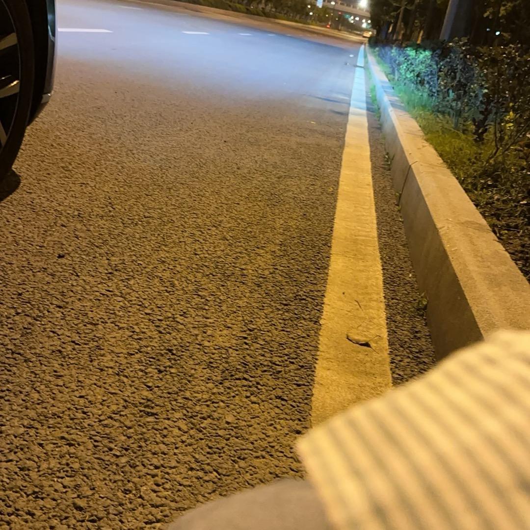 懒人也向阳
