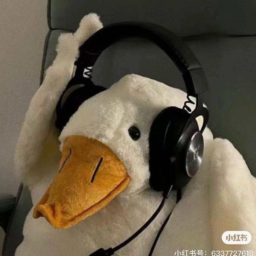 是个小憨包💫