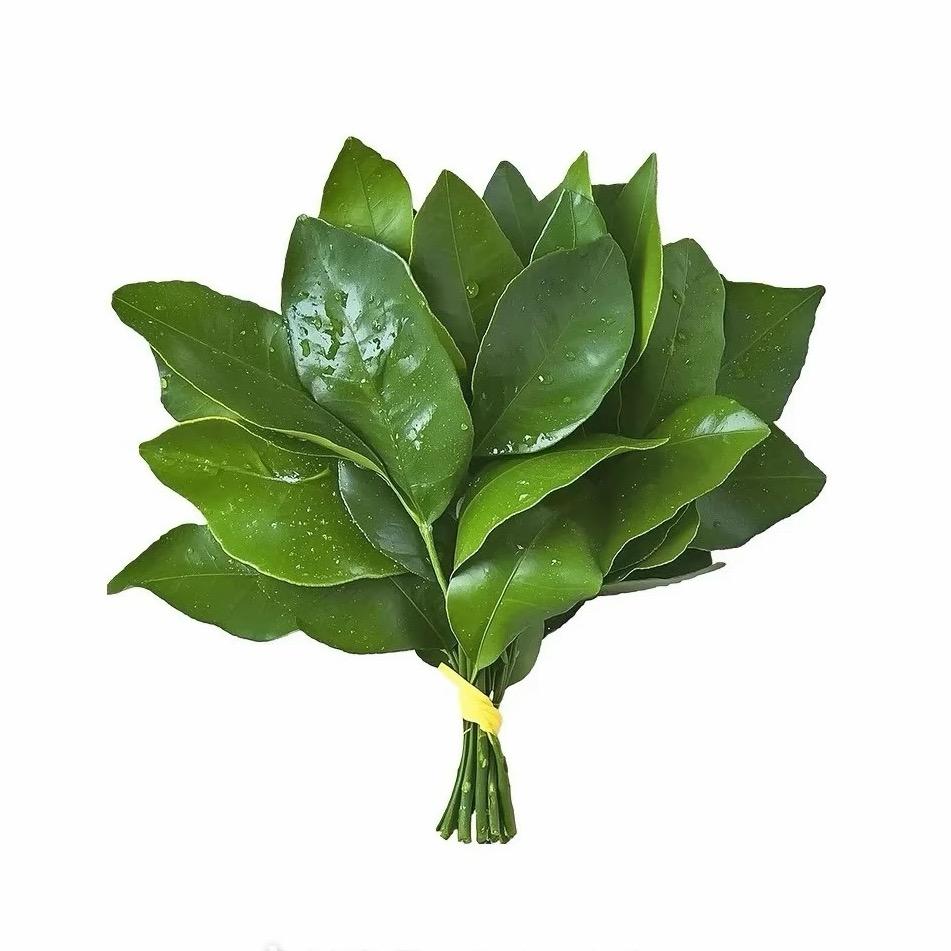 齐妍今