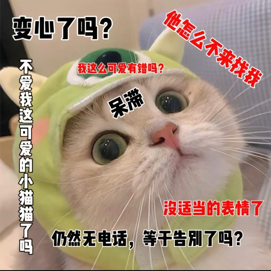 雨青宣