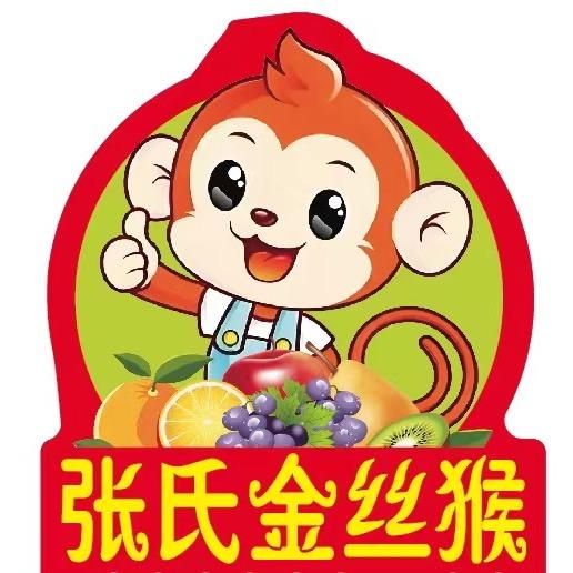 张氏•金丝猴🐒