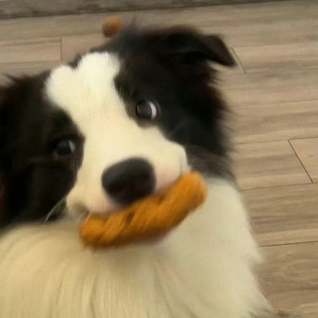 …¿