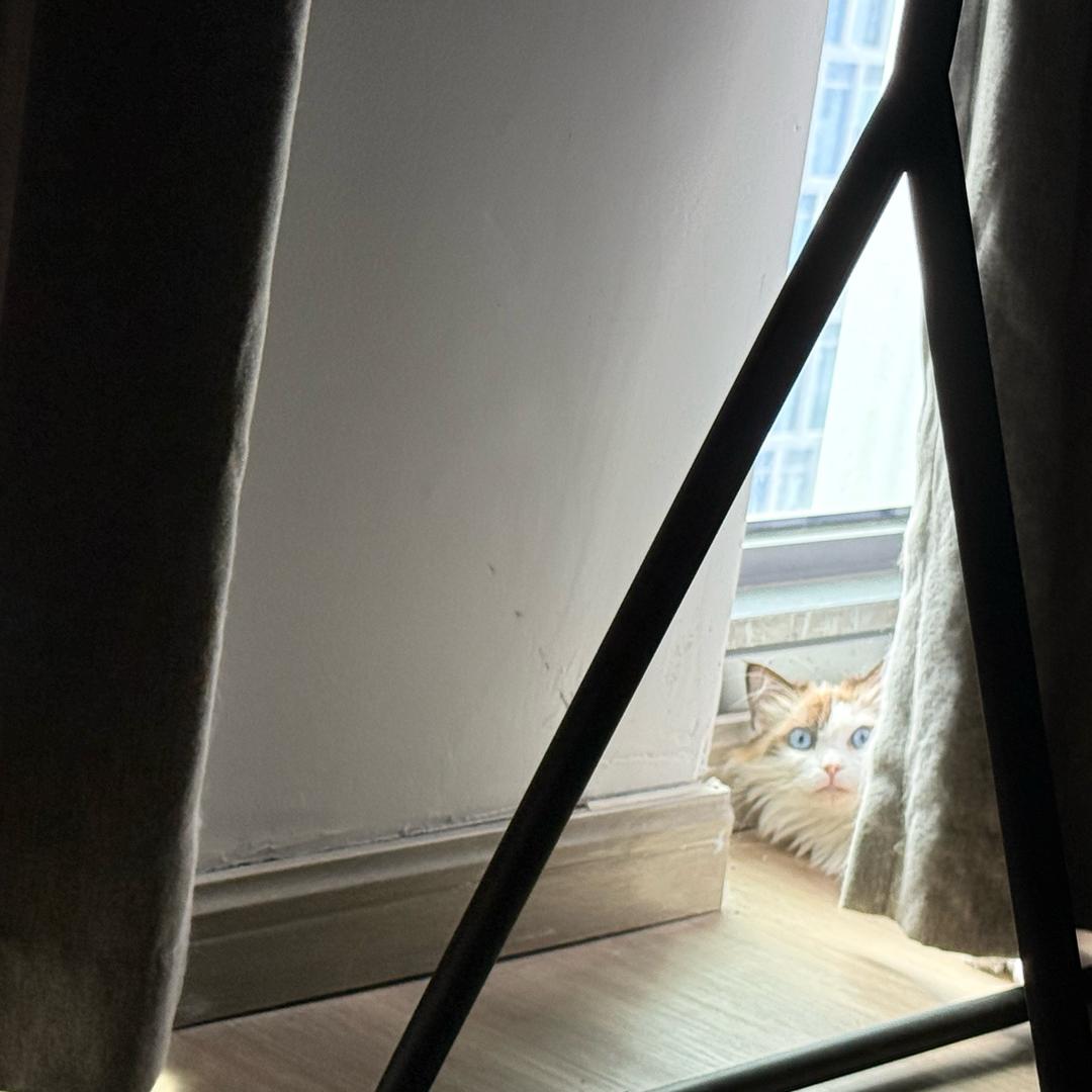 simplec