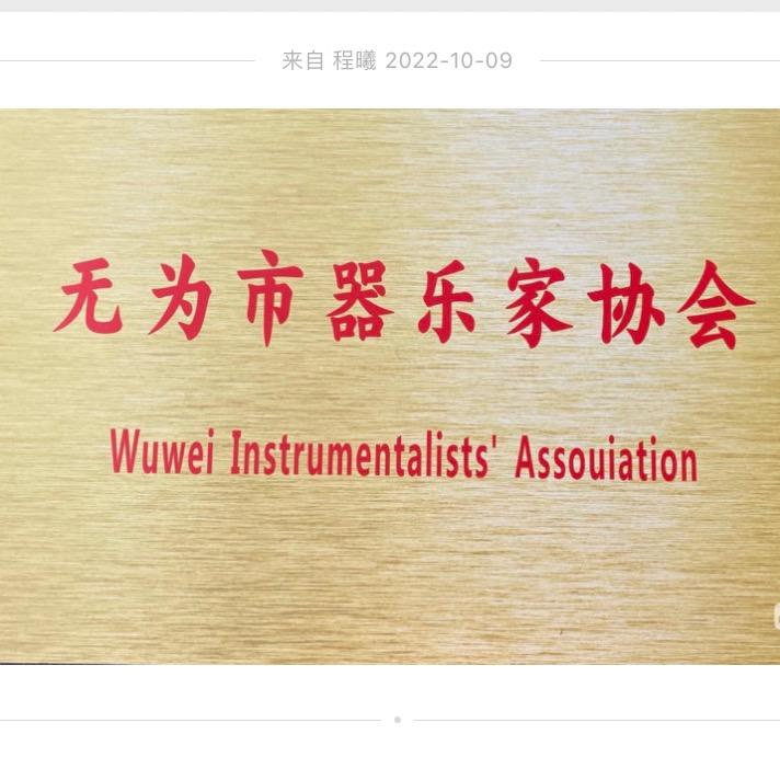 无为市器乐家协会程曦