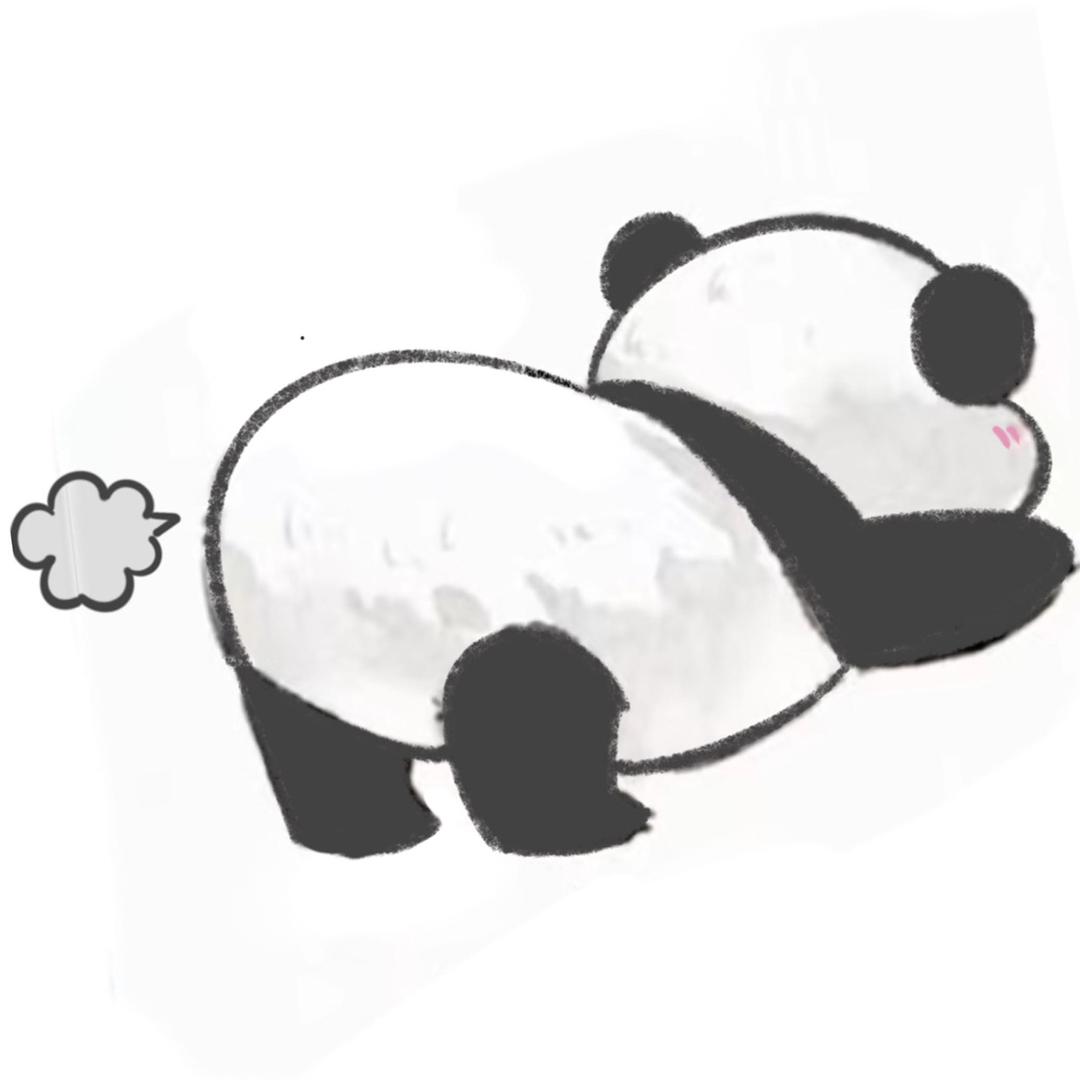 熊猫🐼.