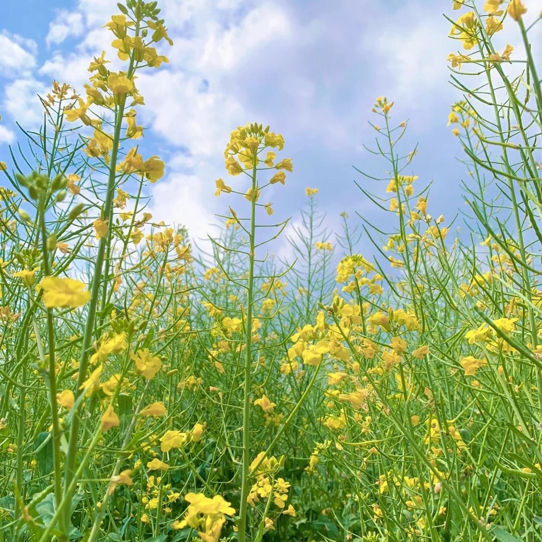 54884649649596594699@抖音