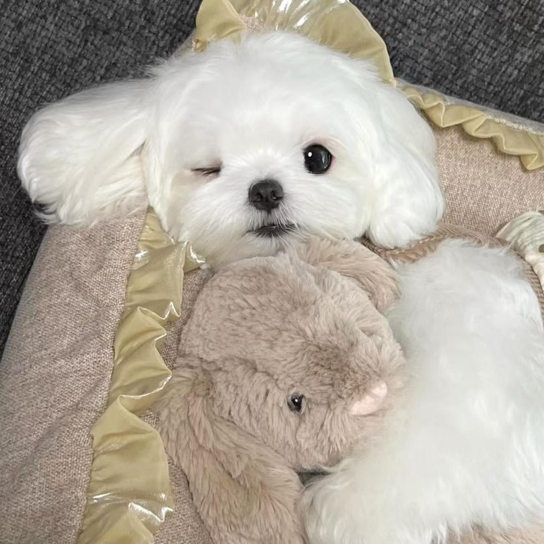 林间鹤ᴺᴵᴳᴴᵀ