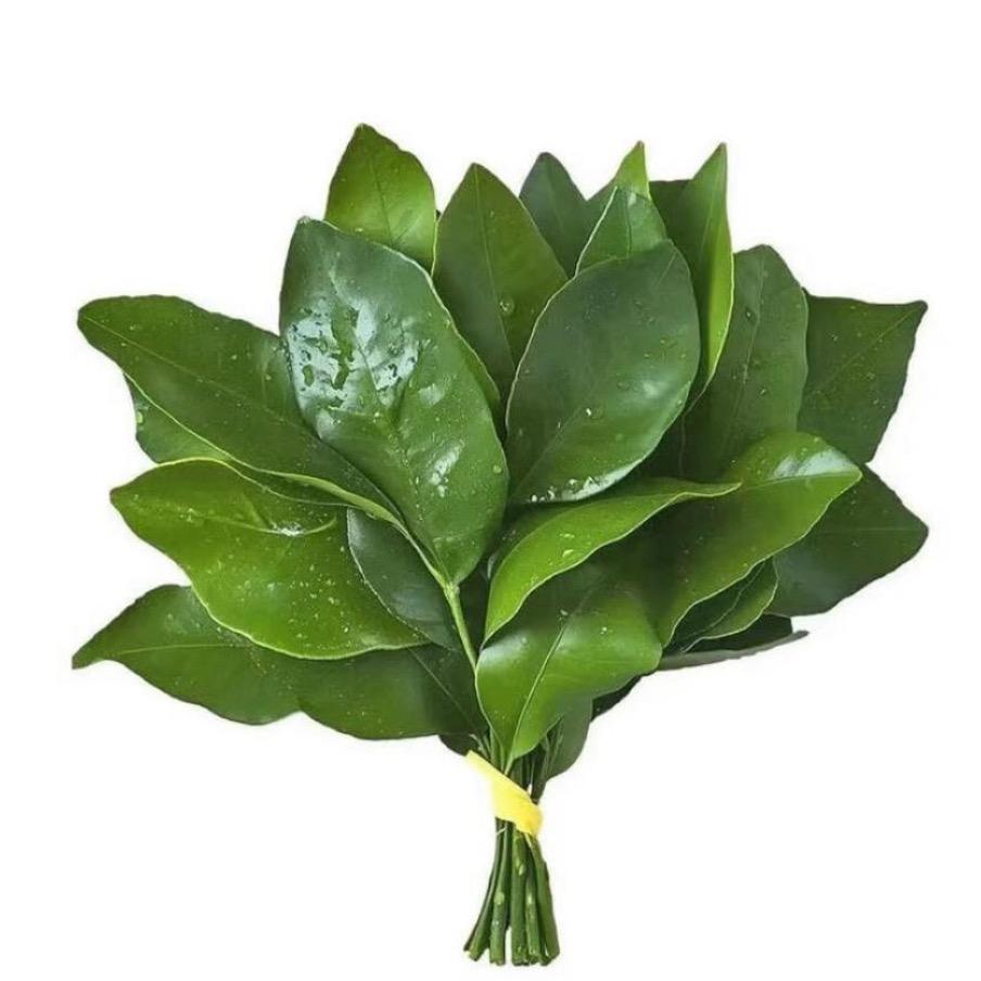 悲伤菜籽油