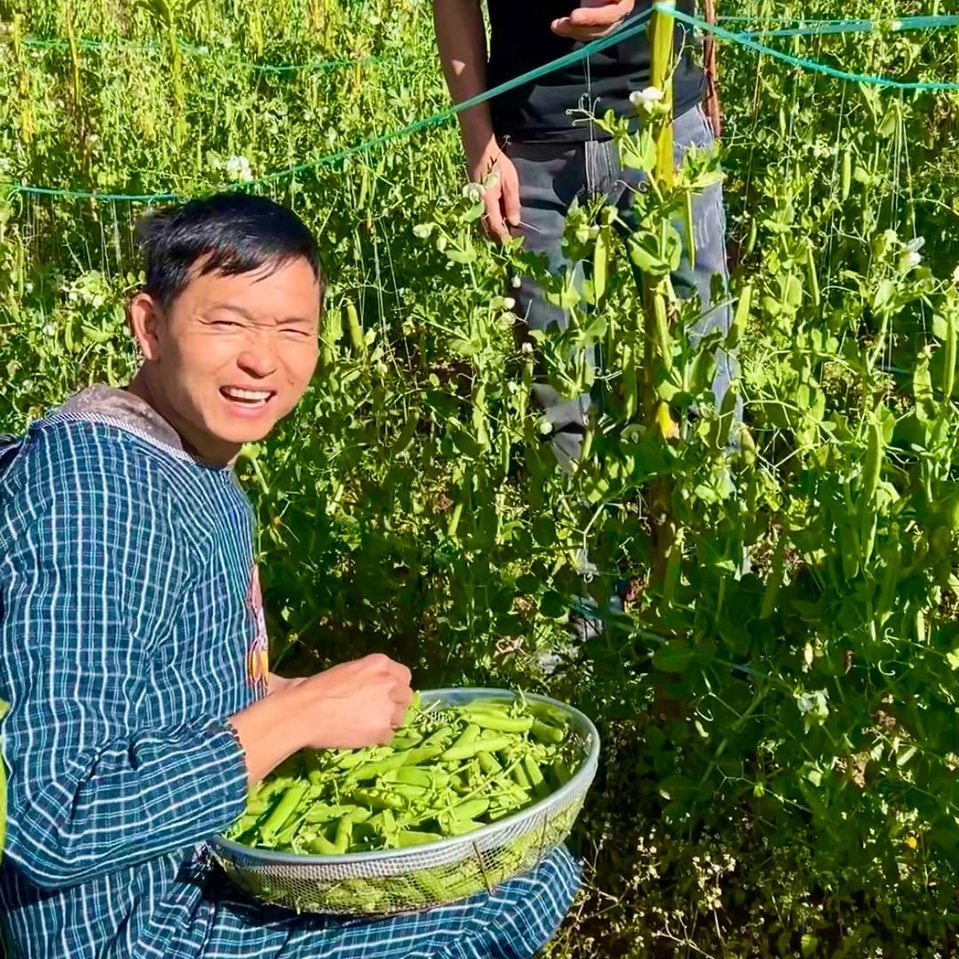 豆本逗先生