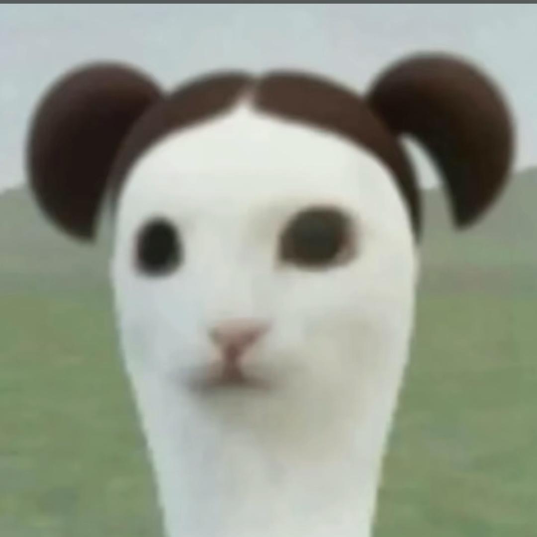 005