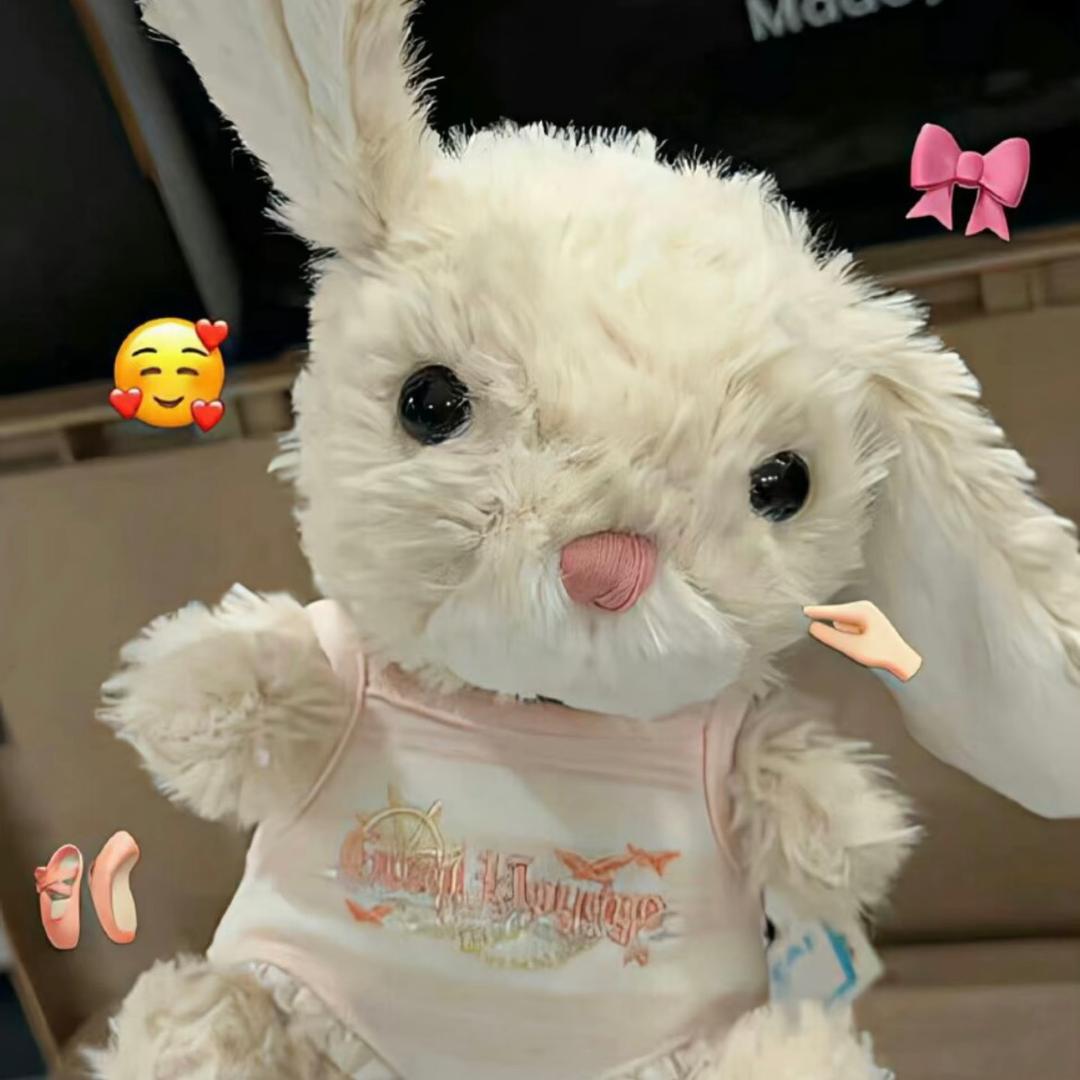 晓丽