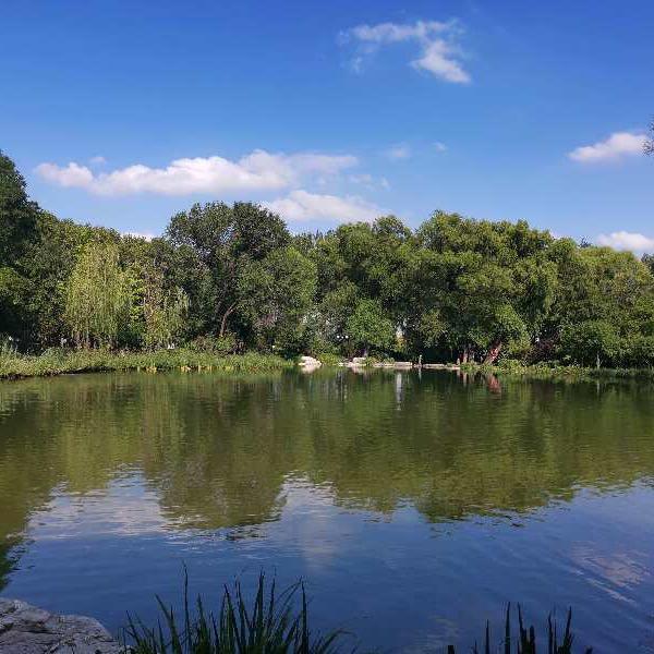 步源智能按摩鞋