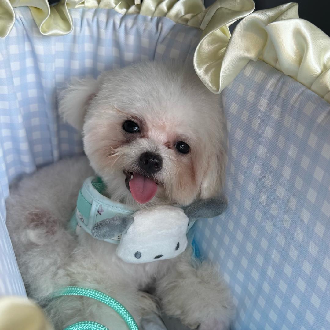 睡觉大王💤