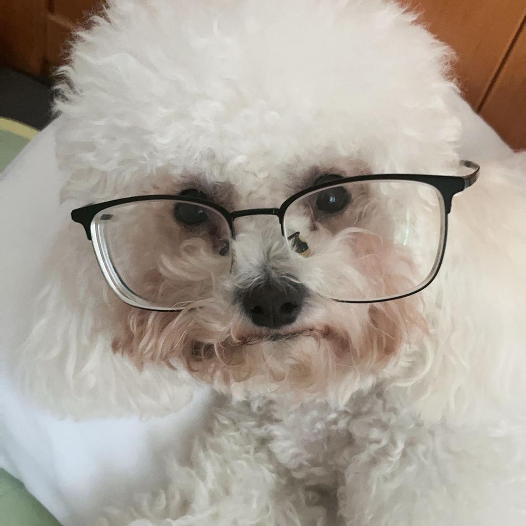 贪玩的千本