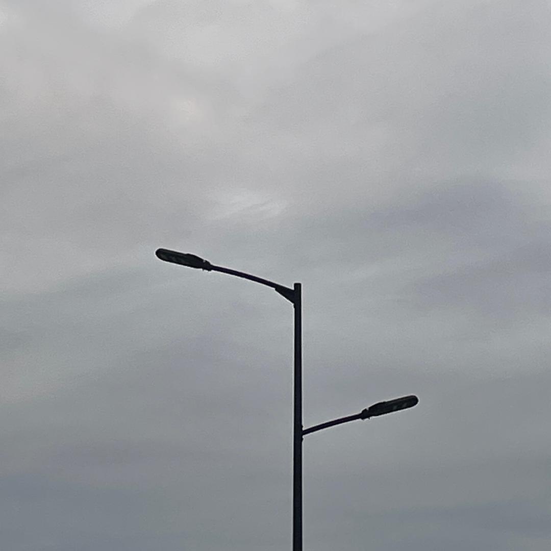 荒唐鱼