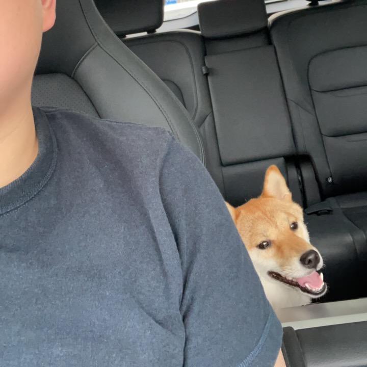 王子哪有王总香