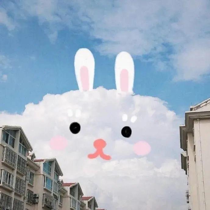 小雨吃不够